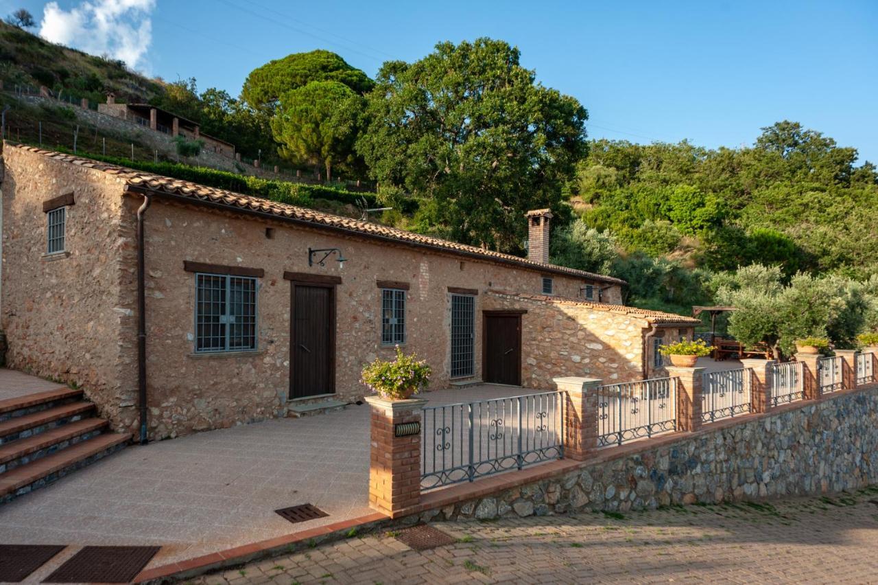Azienda Agrituristica Le Terre Di San Leonardo Cetraro Buitenkant foto